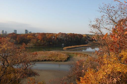 Humber Marshes Park